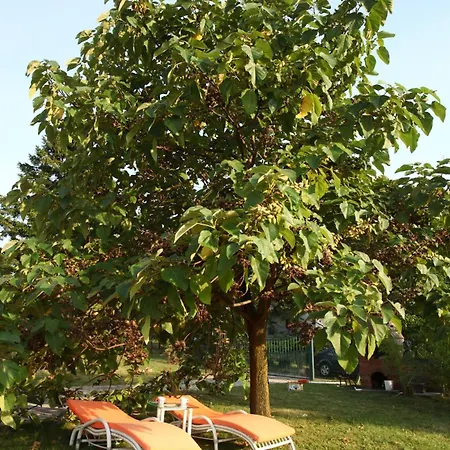 Tatil Evi Art House Kosmaj 2