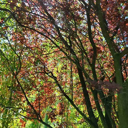 Tatil Evi Art House Kosmaj 2 *