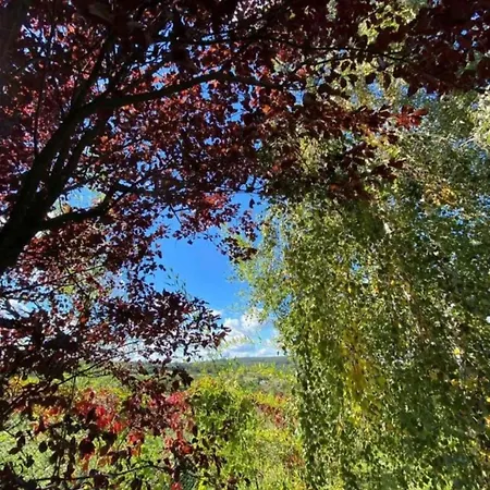 Art House Kosmaj 2 Tatil Evi Sopot