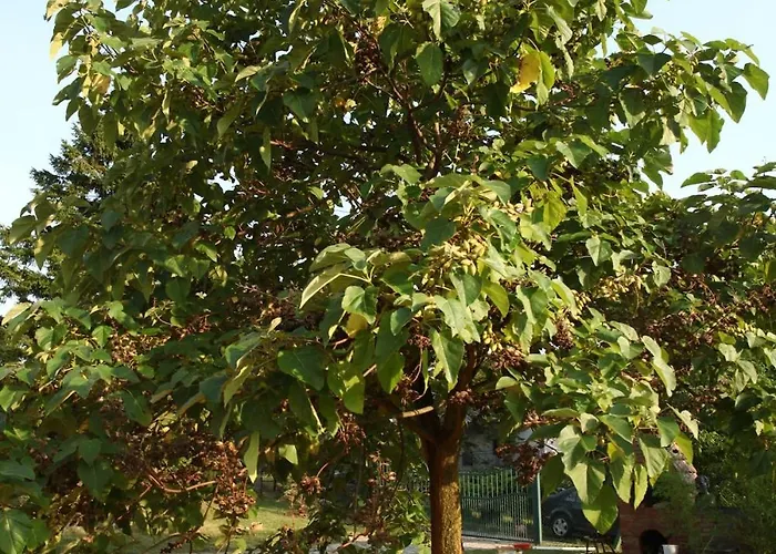 Nyaraló Art House Kosmaj 2