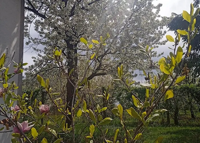 Art House Kosmaj 2 * Sopot