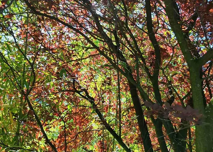 Nyaraló Art House Kosmaj 2 *