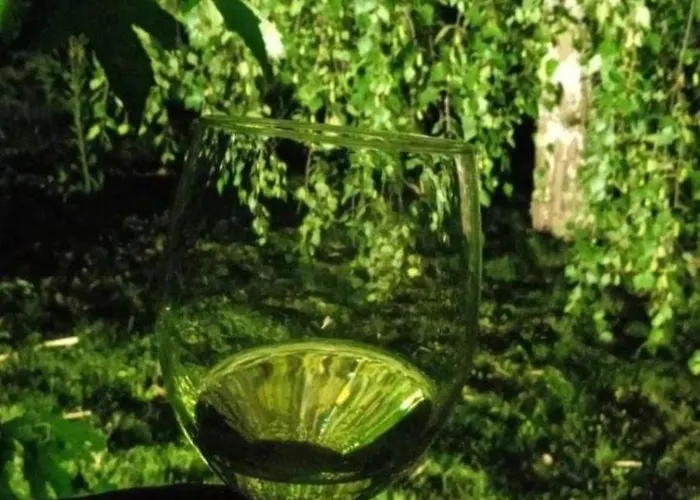 Nyaraló Art House Kosmaj 2 Sopot